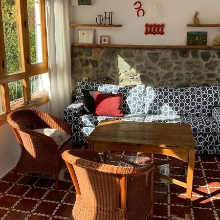 Finca Riolavar Jubrique المظهر الخارجي الصورة