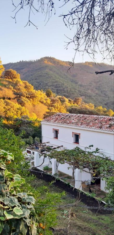 Finca Riolavar Jubrique المظهر الخارجي الصورة