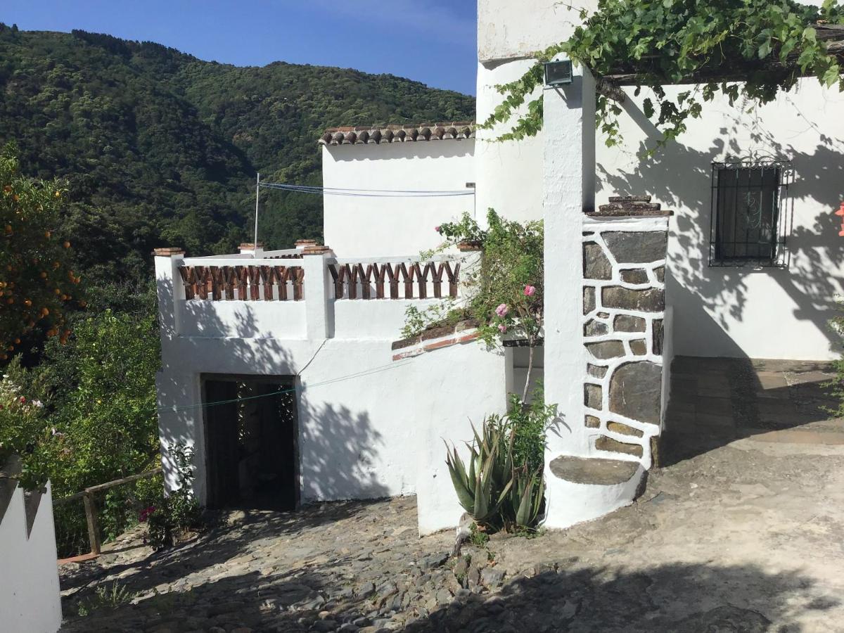 Finca Riolavar Jubrique المظهر الخارجي الصورة